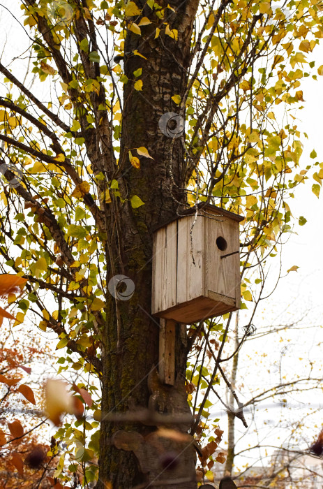 Скачать Скворечник осенью фотосток Ozero