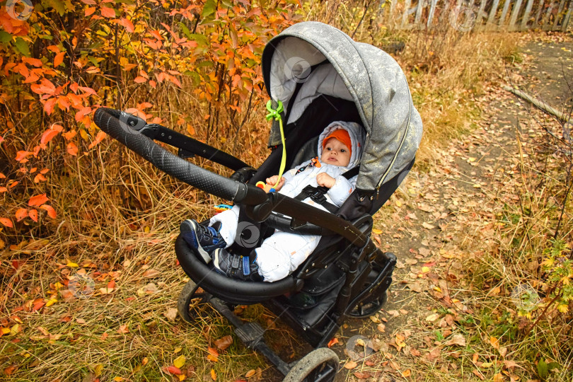 Скачать Осенние прогулки с коляской фотосток Ozero