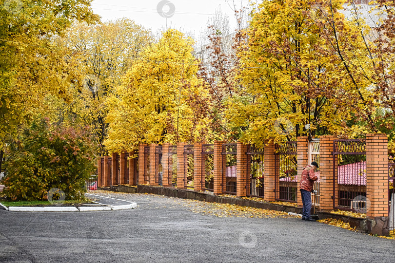 Скачать Осень. Дворник подметает желтые листья. фотосток Ozero