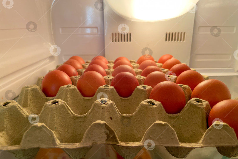 Скачать Сырые яйца в картонной коробке на полке холодильника, хранение продуктов на кухне фотосток Ozero