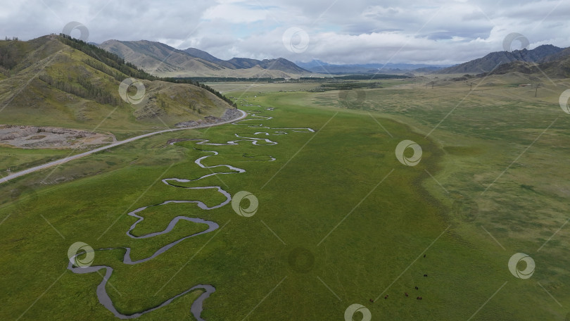 Скачать Меандры реки Чарыш аэрофотосъёмка фотосток Ozero