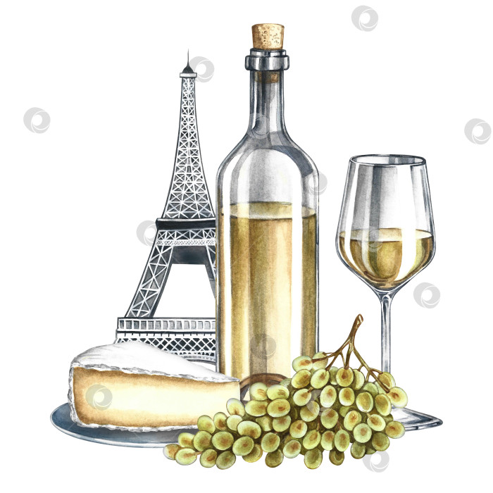 Скачать Бутылка белого вина, бокал, гроздь винограда и сыр на фоне Эйфелевой башни. Ручная акварельная иллюстрация. Для этикеток, баннеров и плакатов, меню ресторанов и баров. фотосток Ozero