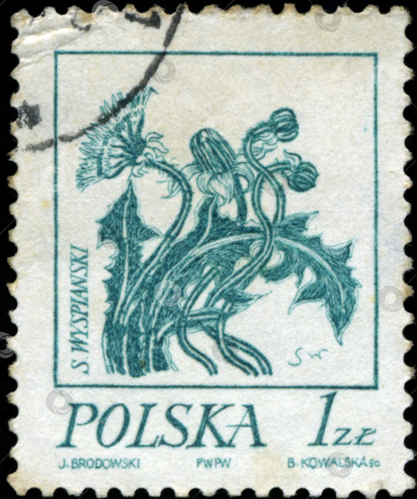 Скачать ПОЛЬША - ОКОЛО 1968 года: В Польше напечатана марка "цветок", выпущенная примерно в 1968 году. фотосток Ozero