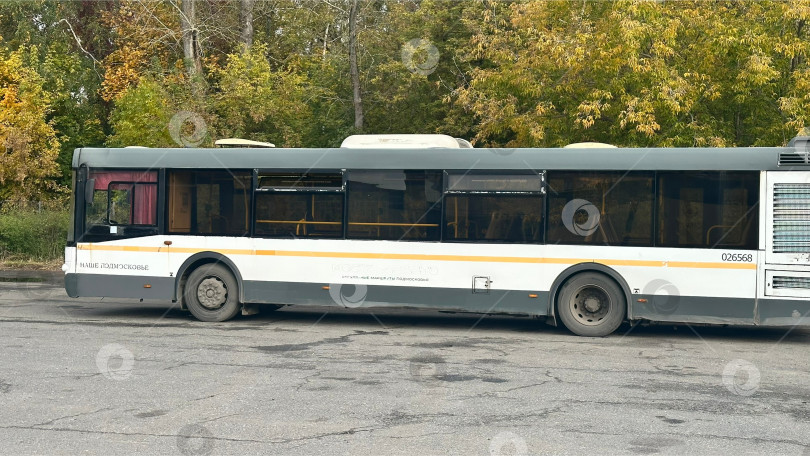 Скачать Городской автобус на фоне зелёных деревьев фотосток Ozero