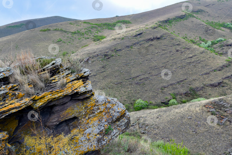 Скачать Летний пейзаж фотосток Ozero