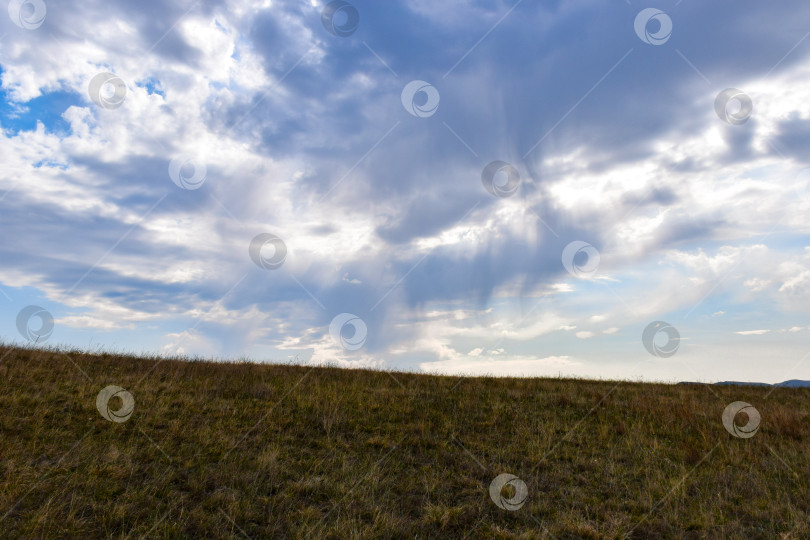 Скачать Летний пейзаж фотосток Ozero