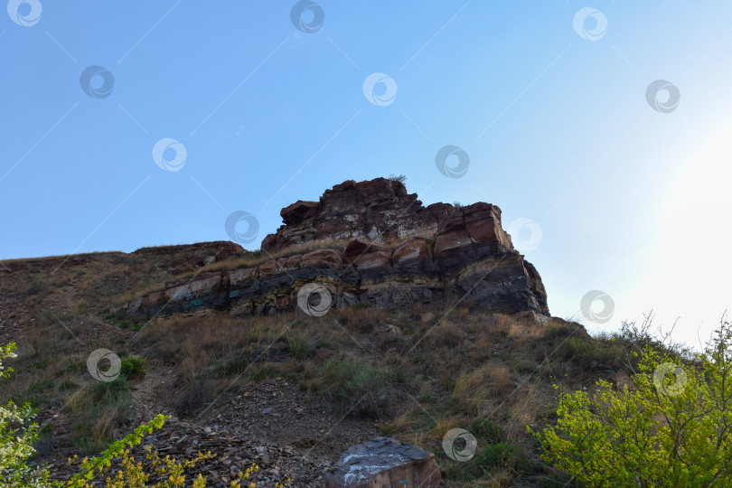 Скачать Летний пейзаж фотосток Ozero