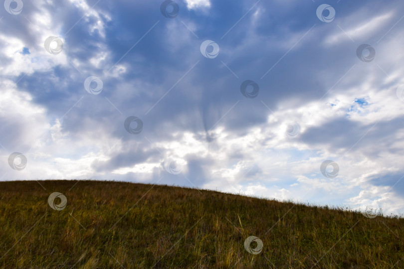 Скачать Летний пейзаж фотосток Ozero