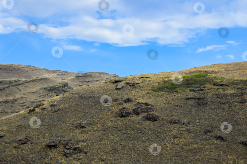 Скачать Летний пейзаж фотосток Ozero