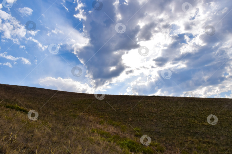 Скачать Летний пейзаж фотосток Ozero