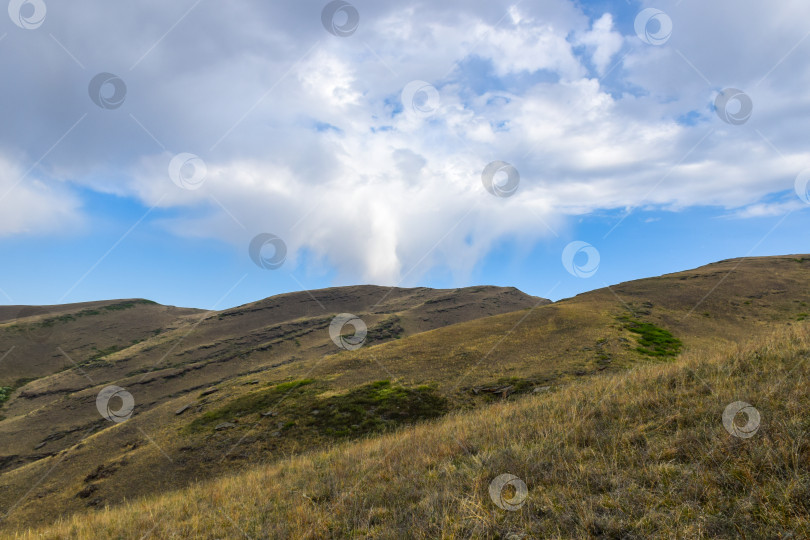Скачать Летний пейзаж фотосток Ozero