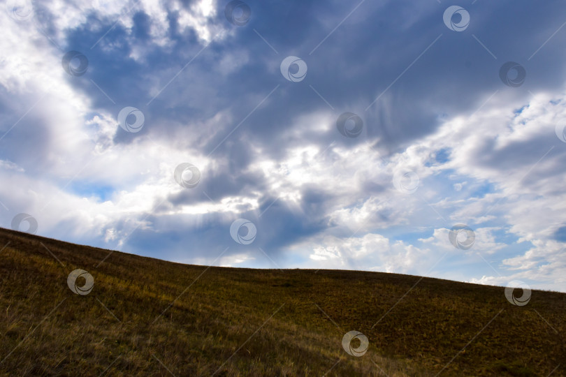 Скачать Летний пейзаж фотосток Ozero