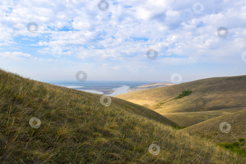 Скачать Летний пейзаж фотосток Ozero