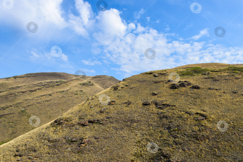 Скачать Летний пейзаж фотосток Ozero