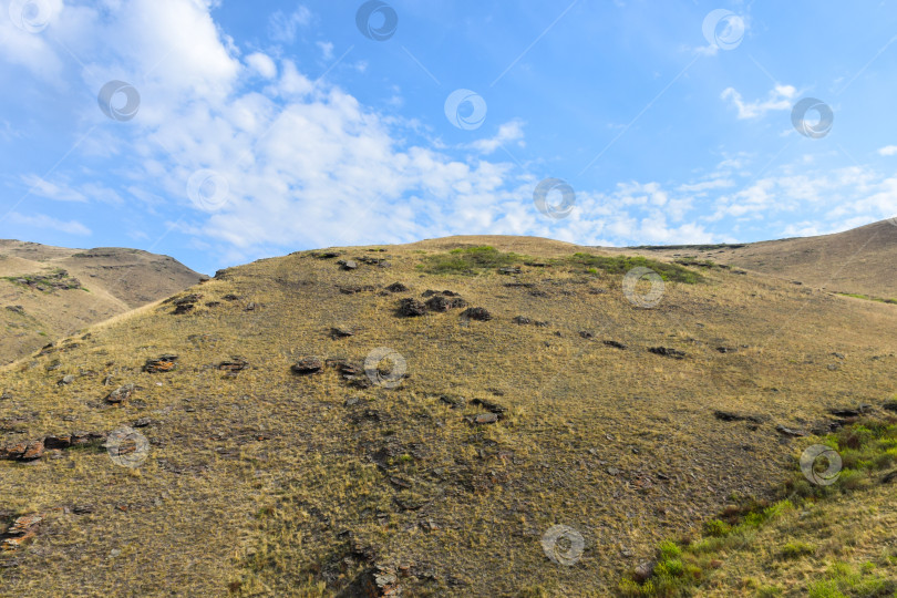 Скачать Летний пейзаж фотосток Ozero