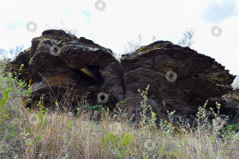 Скачать Летний пейзаж фотосток Ozero