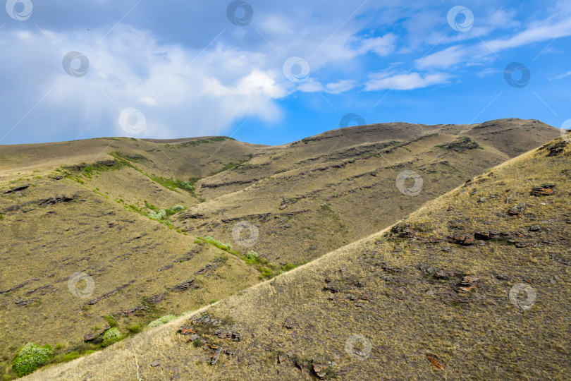 Скачать Летний пейзаж фотосток Ozero