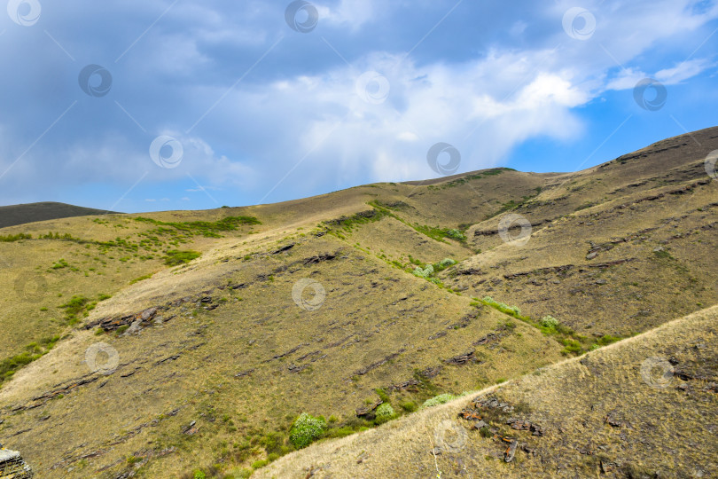 Скачать Летний пейзаж фотосток Ozero