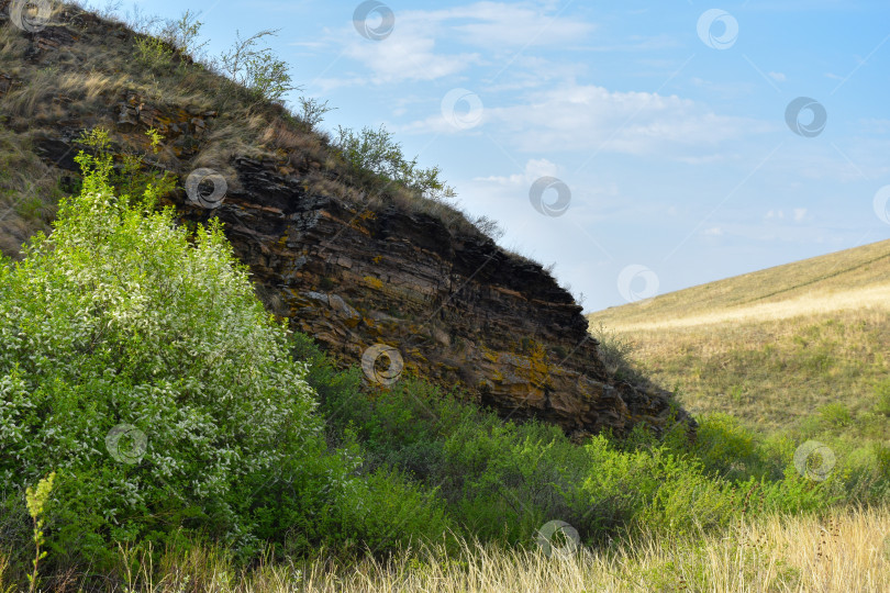 Скачать Летний пейзаж фотосток Ozero