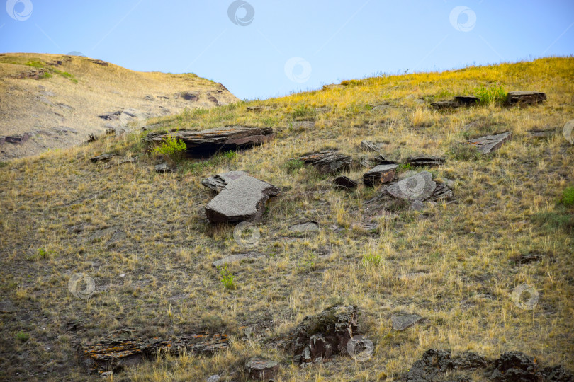 Скачать Летний пейзаж фотосток Ozero