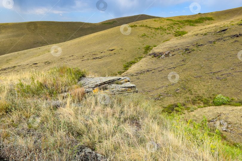 Скачать Летний пейзаж фотосток Ozero