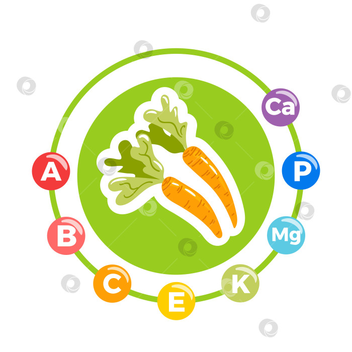 Скачать Морковь с выделенными витаминами и минералами, с ярко-оранжевыми корнями, зеленой ботвой и тонкими значками питательных веществ, выполненная в виде простой векторной иллюстрации. фотосток Ozero