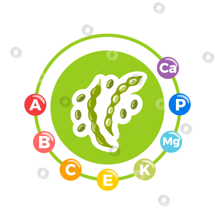 Скачать Зеленая фасоль с выделенными витаминами и минералами, с тонкими стручками, свежими зелеными оттенками и тонкими значками питательных веществ, выполненными в виде четкой векторной иллюстрации. фотосток Ozero