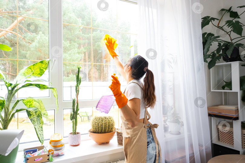 Скачать Женщина в резиновых перчатках и фартуке вручную моет окно в доме тряпкой для мытья посуды и шваброй, внутри интерьер с домашними растениями на подоконнике. Наведение весеннего порядка и чистоты, услуги по уборке фотосток Ozero