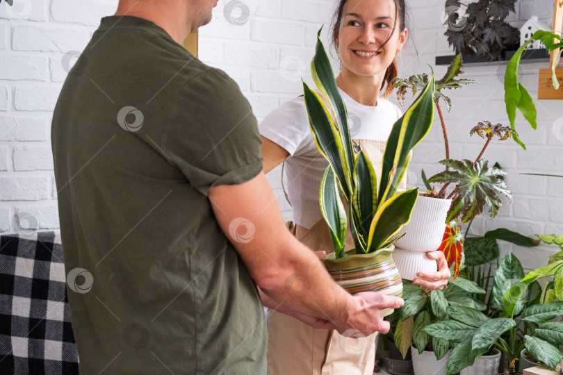 Скачать Муж дарит своей жене растение в горшке для хобби фотосток Ozero