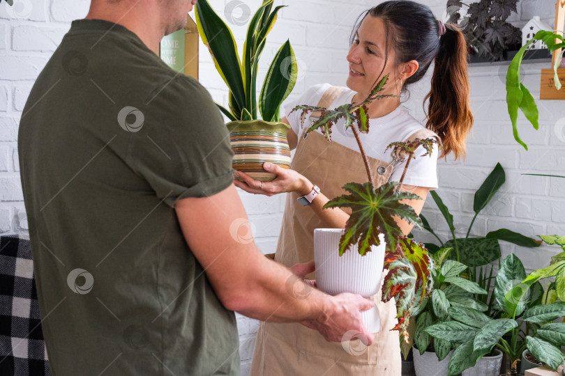 Скачать Муж дарит своей жене растение в горшке для хобби фотосток Ozero