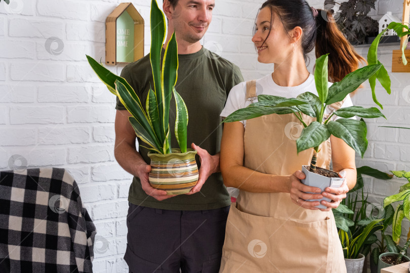 Скачать Муж дарит своей жене растение в горшке для хобби фотосток Ozero