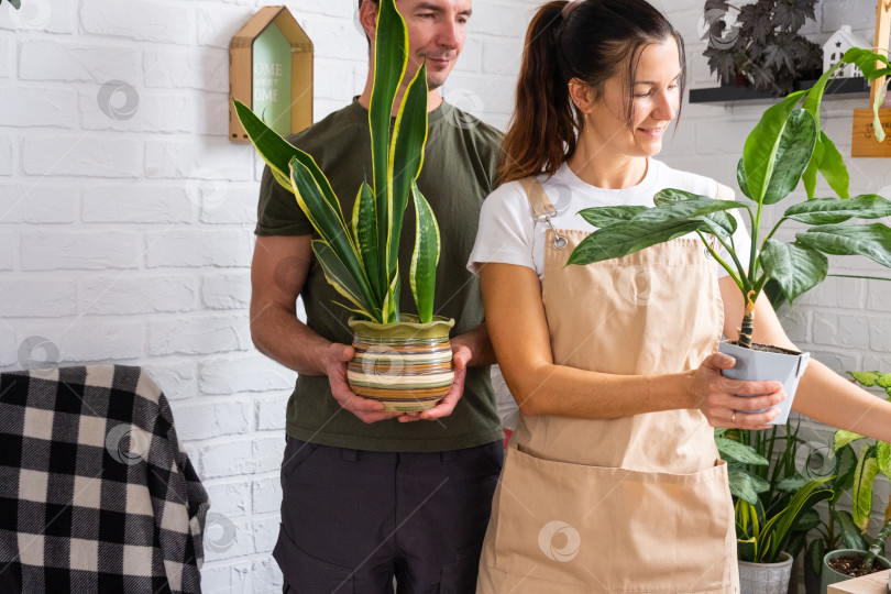 Скачать Муж дарит своей жене растение в горшке для хобби фотосток Ozero