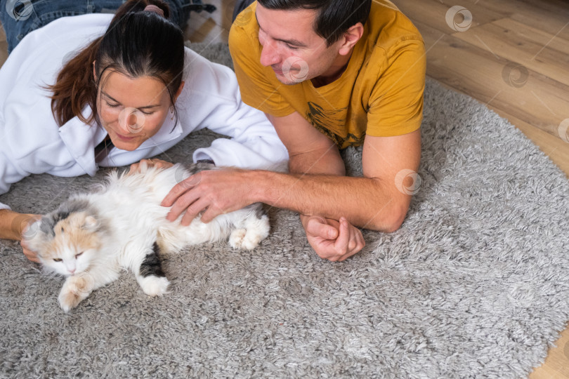 Скачать Муж и жена играют с домашней кошкой на ковре фотосток Ozero