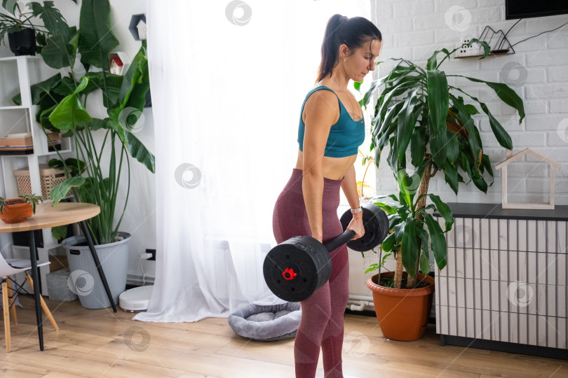 Скачать Женщина в спортивной форме занимается фитнесом и силовыми тренировками со штангой и гантелями у себя дома в интерьере фотосток Ozero