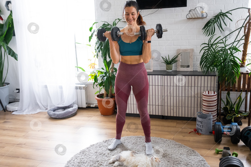 Скачать Женщина в спортивной форме занимается фитнесом и силовыми тренировками со штангой и гантелями у себя дома в интерьере и кат фотосток Ozero