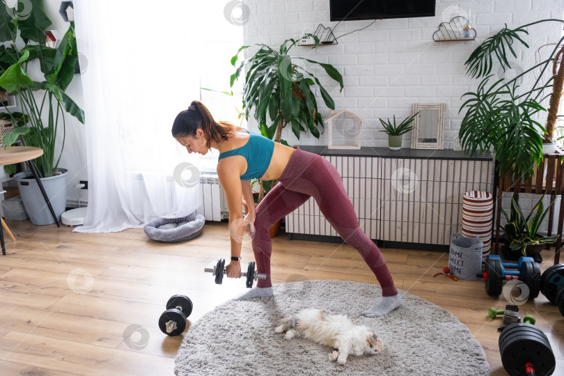 Скачать Женщина в спортивной форме занимается фитнесом и силовыми тренировками со штангой и гантелями у себя дома в интерьере и кат фотосток Ozero