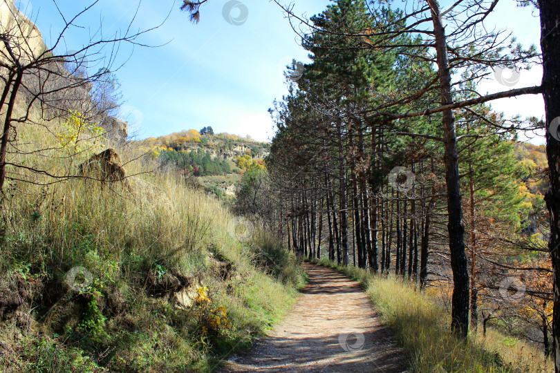 Скачать Тропинка в осеннем парке фотосток Ozero