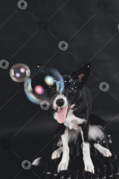 Скачать мыльный пузырь фотосток Ozero