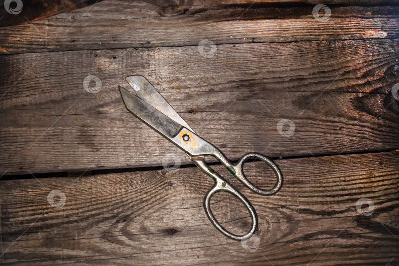 Скачать ножницы фотосток Ozero