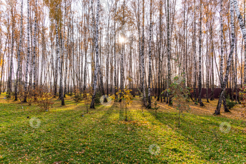 Скачать Ноябрь фотосток Ozero