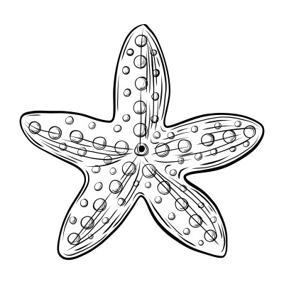 [object Object] undefined