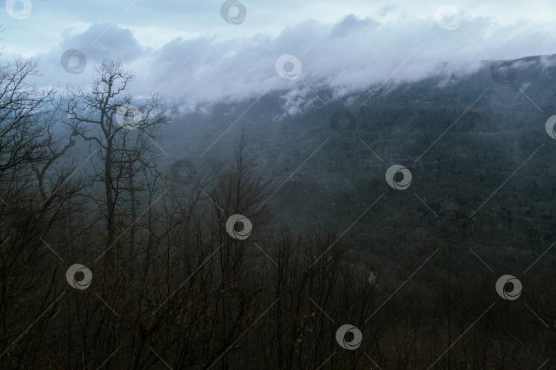 Скачать Ранняя весна в туманной Адыгее. Вид с орлиной полки, 2023. фотосток Ozero