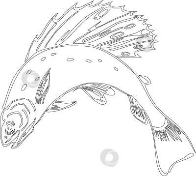 Скачать Хариус фотосток Ozero