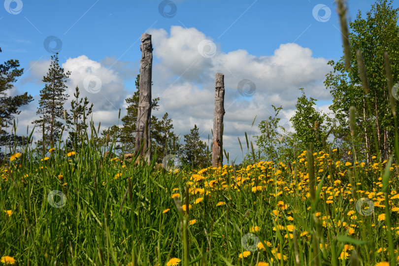 Скачать Языческие деревянные идолы в деревне Алхо (Карелия). Место силы. фотосток Ozero