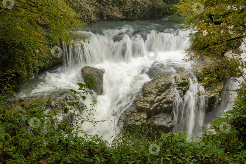 Скачать Лесной водопад, быстрое течение реки. Природа Грузии. фотосток Ozero