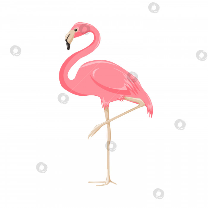 Скачать Векторная иллюстрация розового фламинго в мультяшном стиле на прозрачном фоне. фотосток Ozero