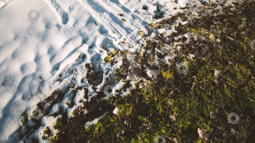 Скачать Текстура снега. Снег с переходом в зеленую траву. фотосток Ozero