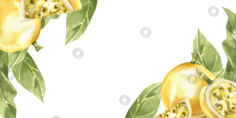 Скачать Шаблон баннера "Экзотические летние сочные фрукты" с акварельной иллюстрацией желтой маракуйи и зеленых листьев. Рамка из тропических фруктов, нарисованная вручную, клипарт из азиатских веганских блюд и свежих ингредиентов для этикетки. фотосток Ozero