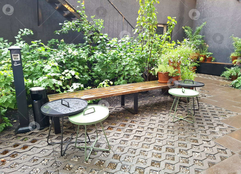 Скачать Место отдыха в одном из общественных мест в Санкт-Петербурге фотосток Ozero