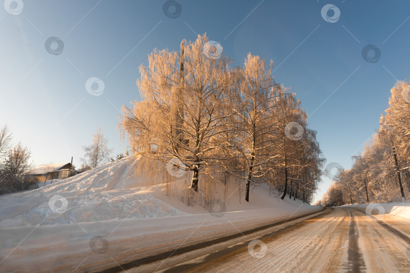 Скачать Морозное зимнее утро. Рассвет. Дорога в белом снегу. фотосток Ozero